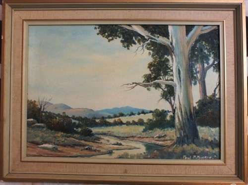 Paul Potgieter Lowveld Scene- Blue Gum Tree next to Stream