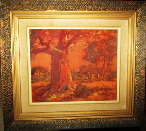 Oil on Board - BOABAB TREE - Near Tshpise - Signed by Artist