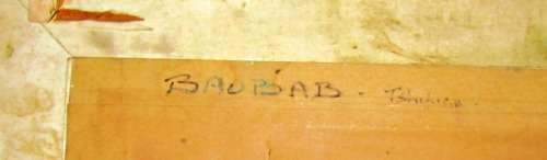 Oil on Board - BOABAB TREE - Near Tshpise - Signed by Artist