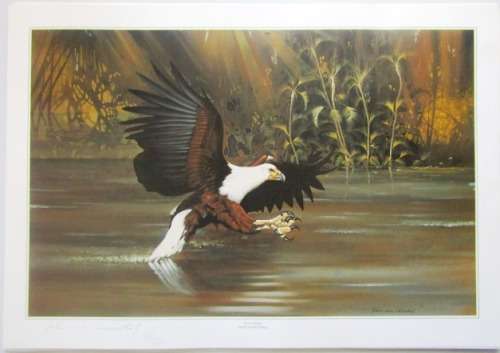 Signed  and Numbered Print by Renowned South African Artist Johan van Rensburg Print #221/1250
