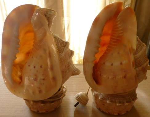 Pair of old vintage shell lamps 23cm tall - estate lot 151 - very late entry