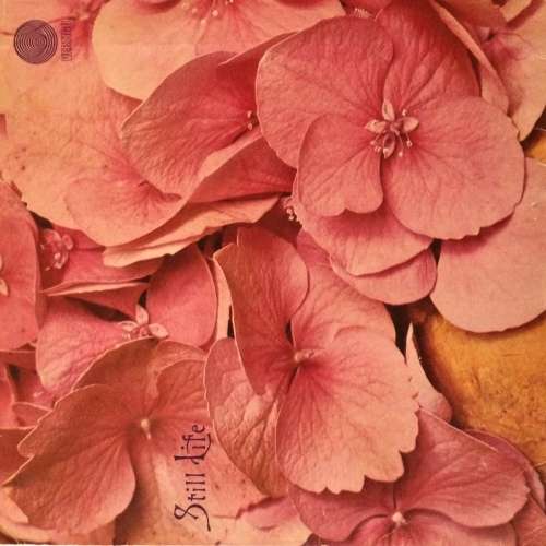 Still Life - Still Life (1971) Vinyl/LP  *VERTIGO*
