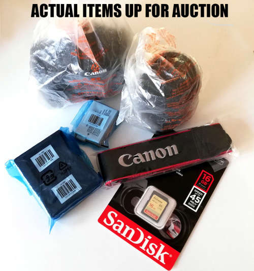 Canon EOS 4000D Digital SLR Camera Starter Bundle - New No Box