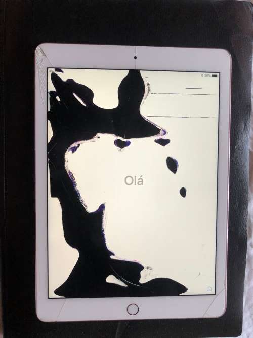 iPad Pro 1St Gen WIFI**32GB**Rose Gold {PLEASE READ DESCRIPTION}