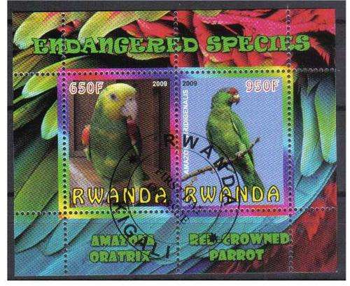 CINDERELLA SHEET - PARROTS, CTO MS, Rwanda 2009