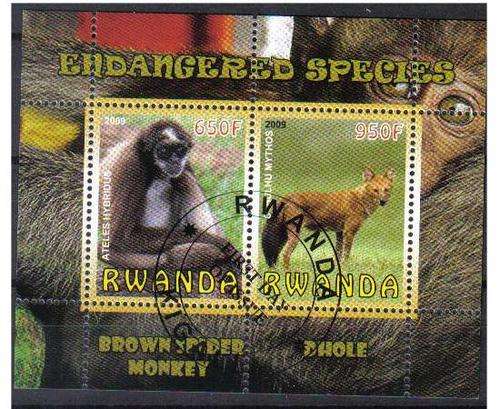 CINDERELLA SHEET - ENDANGERED SPECIES, CTO MS, Rwanda 2009