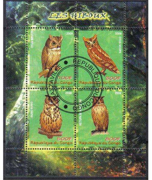 CINDERELLA SHEET - OWLS, CTO MS, Congo 2009