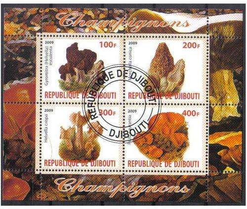 CINDERELLA SHEET - MUSHROOMS, CTO MS, DJIBOUTI 2009