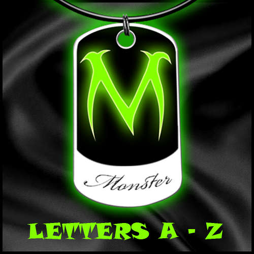 Stainless Steel Glow in the Dark Letter Tag with Free Engraving