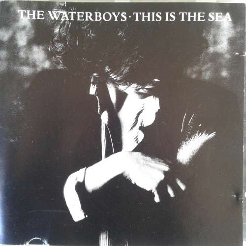 The Waterboys - This Is The Sea (1985)