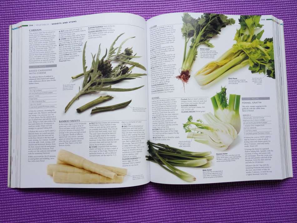 The Illustrated Cook's Book of Ingredients DK