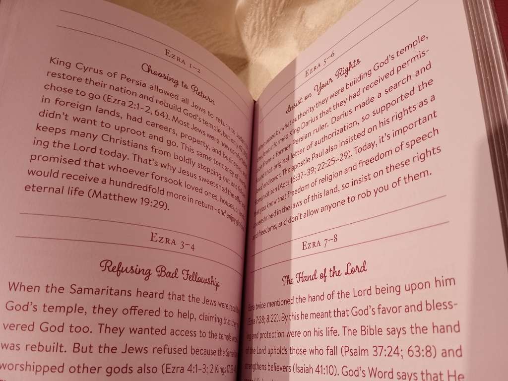 THE 5-MINUTE BIBLE READING PLAN & DEVOTIONAL