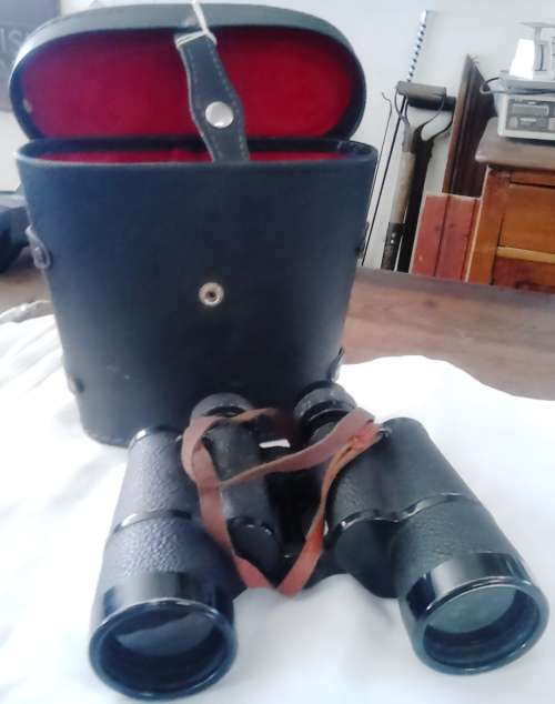 Large binocular set with case