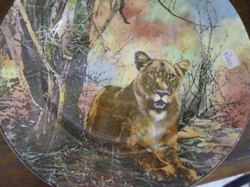 doulton lion  plate crazy R1 no reserve!!!!