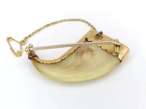 Anglo-Indian tiger`s claw brooch (set in 9ct gold)