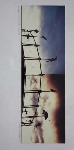 Neville Dubow - Aquarium wind vanes