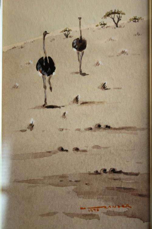 Namib landscape with Ostrich by Konrad Zander
