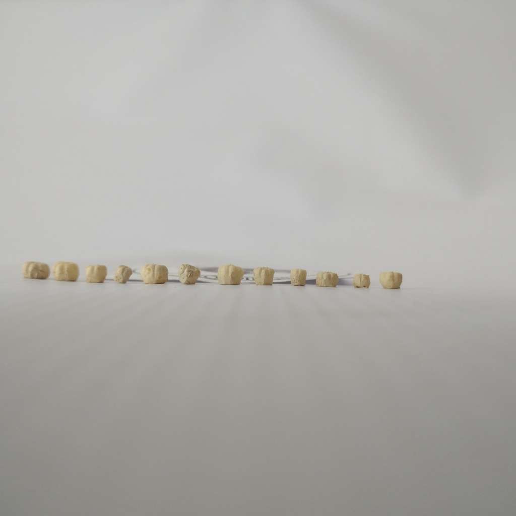 Model Trains N Scale - Pumpkins Cream (x12 pack) - 5mm diameter x 3mm