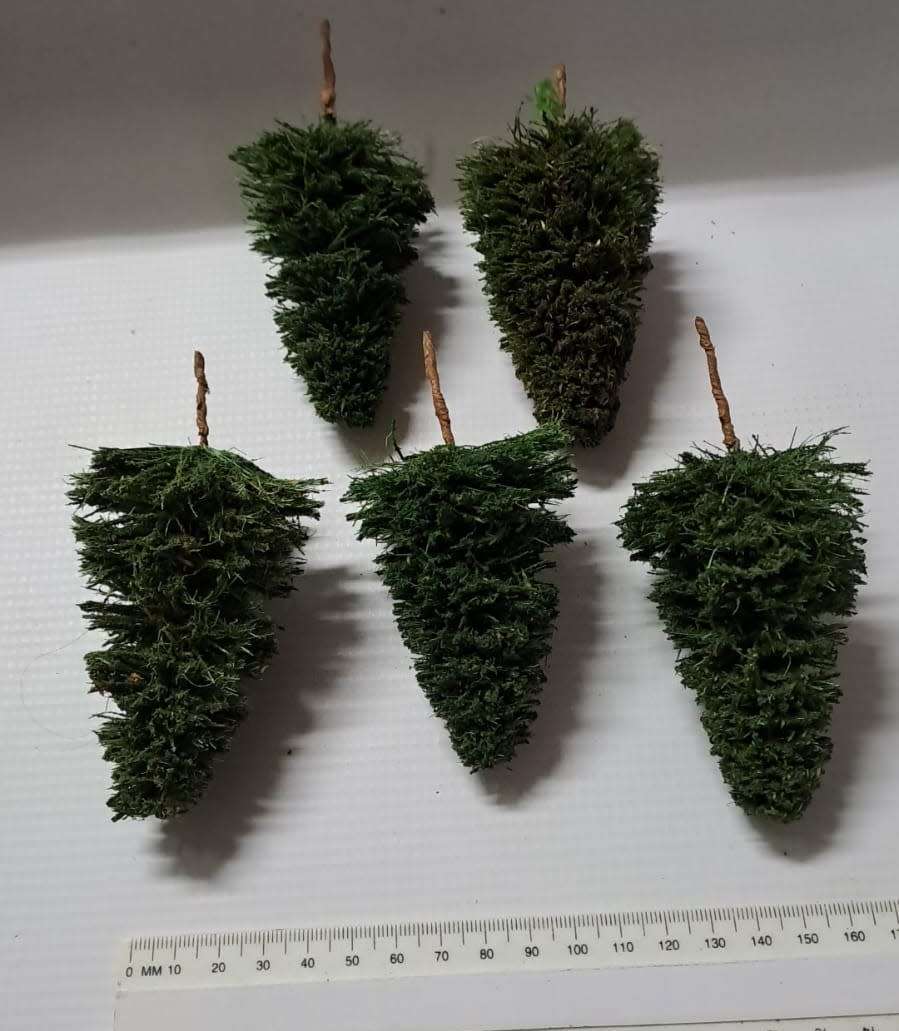 Model Trains HO - Pine Trees (pack of 5)