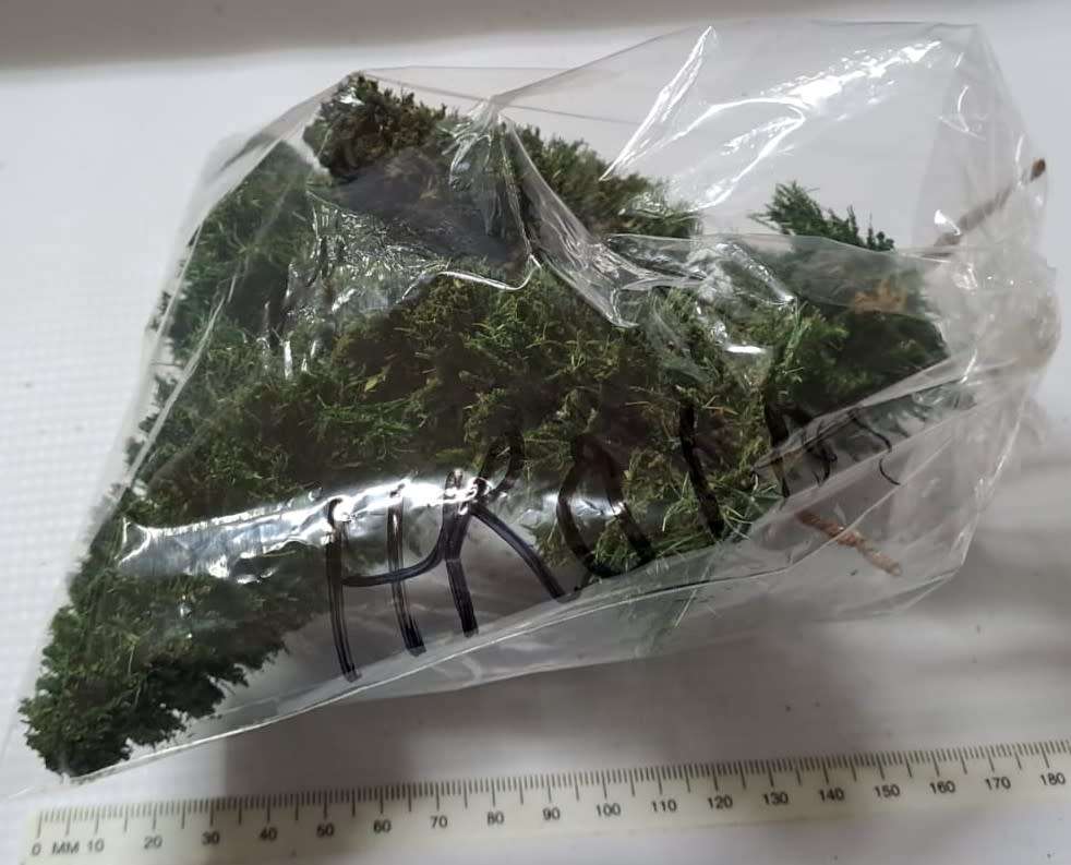 Model Trains HO - Pine Trees (pack of 5)