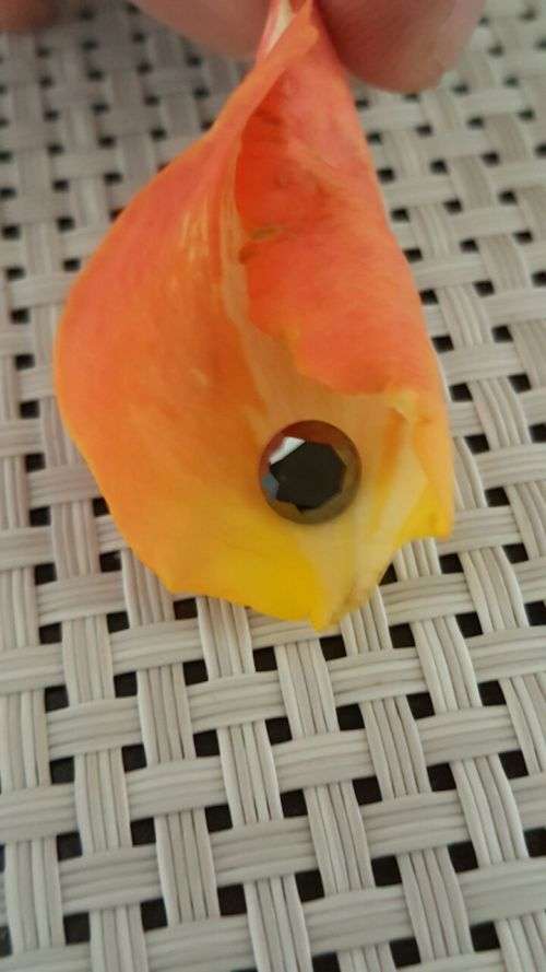 Black Diamonds 1.15Cts 100% Natural