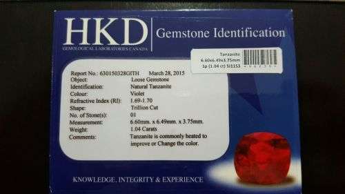 1.04CT. TRILLION FACET 100% NATURAL PURPLE BLUE TANZANITE