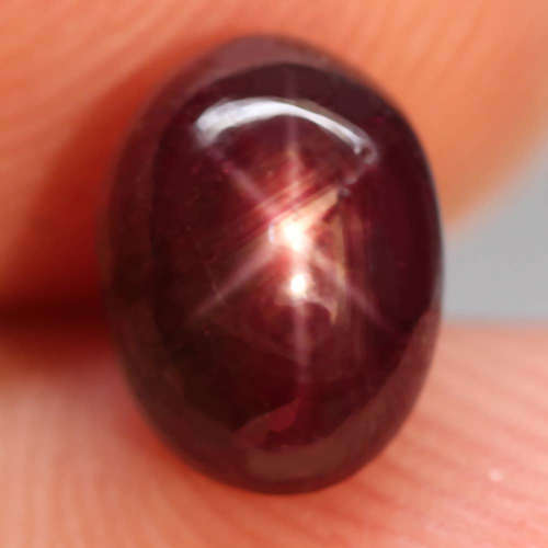 3.74 Ct. Ruby Natural 6 Rays Star Oval Cabochon Top Blood Red Amazing Madagascar