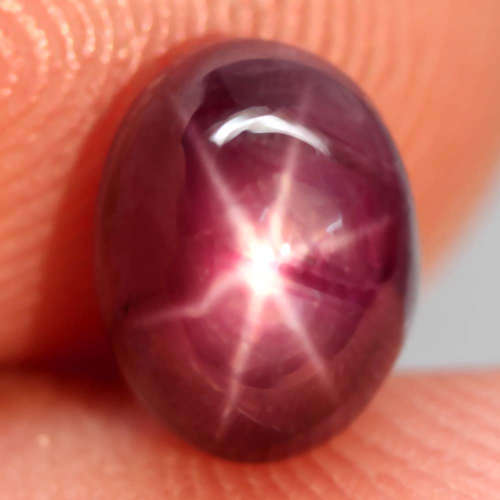 4.89Ct. Unheated Ruby Natural 6 Rays Star Oval Cabochon Top Blood Red Madagascar