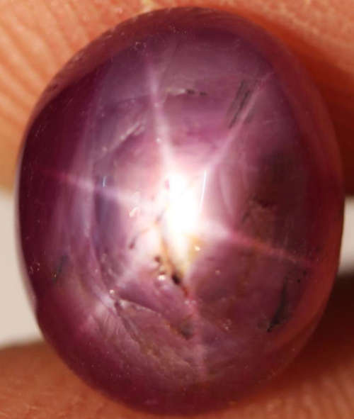 5.24Ct. Unheated Ruby Natural 6 Rays Star Oval Cabochon Top Blood Red Madagascar