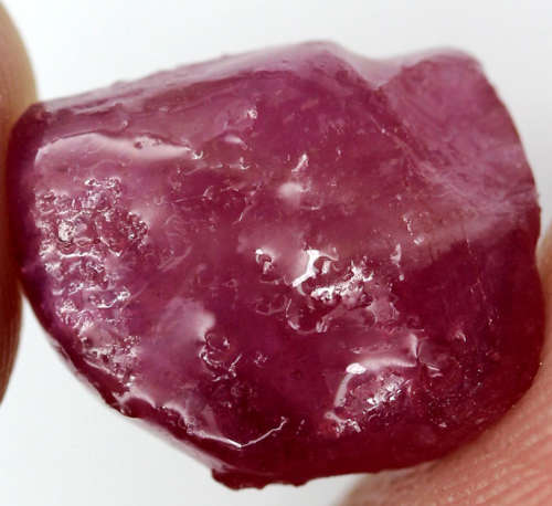 11.14Ct. Rough Ruby Natural TopBlood Red Lovely Madagascar