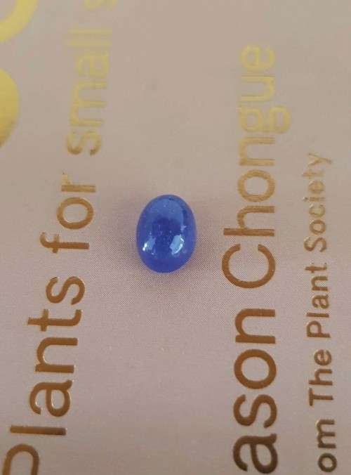 3.07Ct.Tanzanite Oval Cabochon Purplish Blue  Good Color! Natural