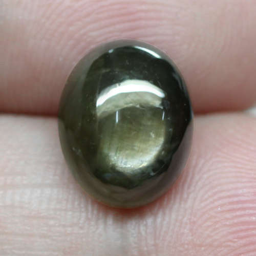 5.93Ct. Star Sapphire Natural Cabochon Golden Black 6 Rays Unheated Good Quality