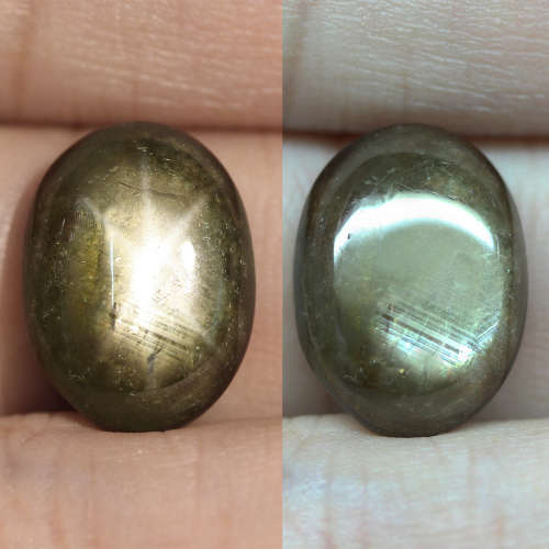 13.13Ct. Star Sapphire Natural Cabochon Golden Black 6 Rays Unheated