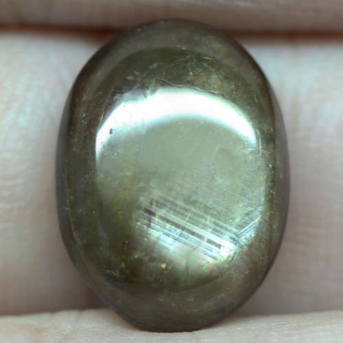 13.13Ct. Star Sapphire Natural Cabochon Golden Black 6 Rays Unheated