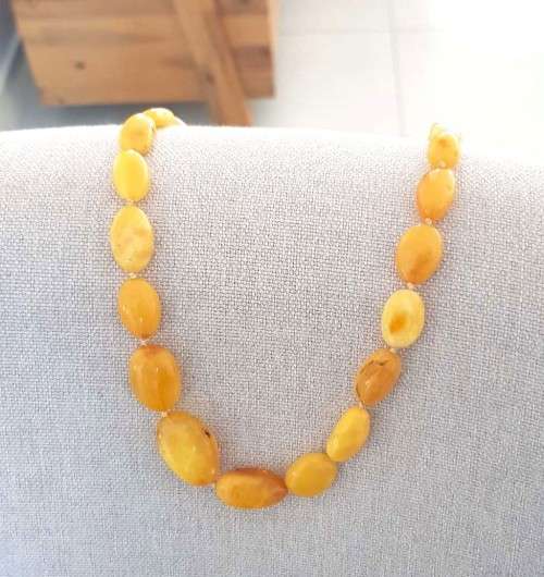 19` Beautiful Genuine Baltic Amber **Egg York**Cleopatra Choker Necklace for Woman