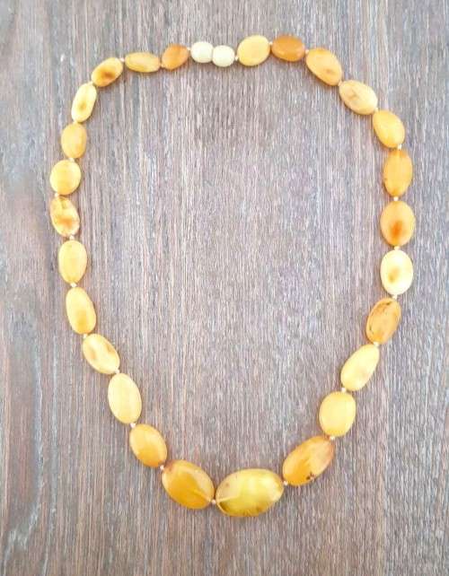 19` Beautiful Genuine Baltic Amber **Egg York**Cleopatra Choker Necklace for Woman
