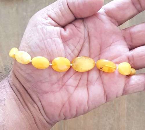 19` Beautiful Genuine Baltic Amber **Egg York**Cleopatra Choker Necklace for Woman
