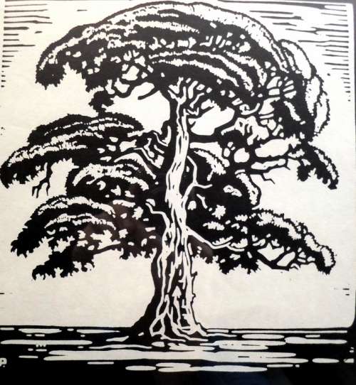 Pierneef - Single tree - A beautiful photo lithograph!! Bid now!