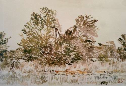 Adolph Jentsch - Limited edition print - A beautiful print from one of the masters!! Bid now!!