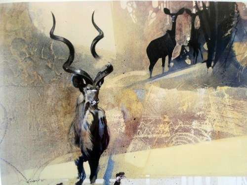 Keith Joubert - Kudu - Limited edition Lithoprint - Rowland Ward Collection - Low price!!