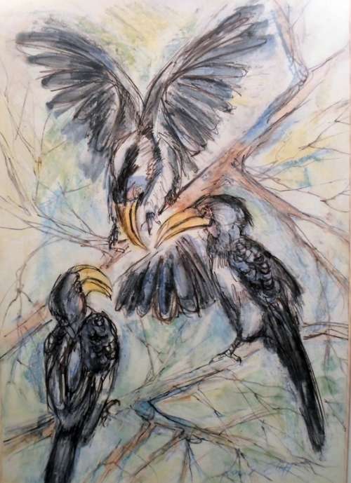 Rene Eloff - Hornbills - A beautiful painting! Low price, bid now!