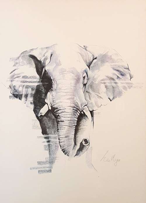 Leo Meyer - Elephant - A beautiful mixed media! Low price, bid now!