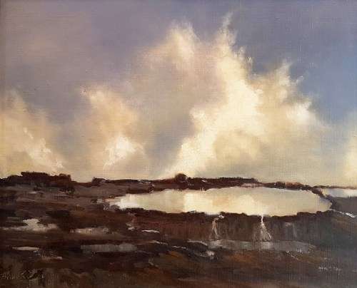 Brian Wiles - Rock pool - A beautiful oil painting. Investment art,