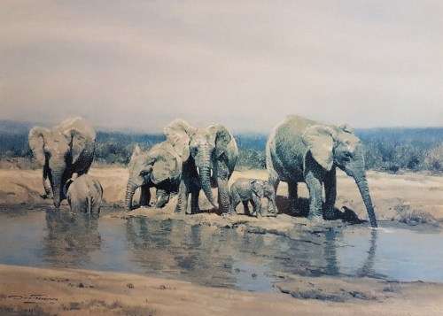 Dino Paravano - Elephants - A stunning limited edition print - Bid now!!