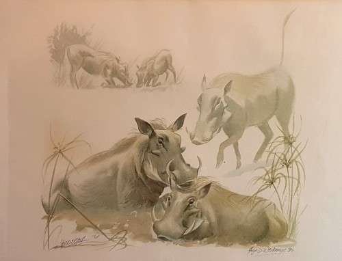 Ingrid Weiersbye - Vlakvark