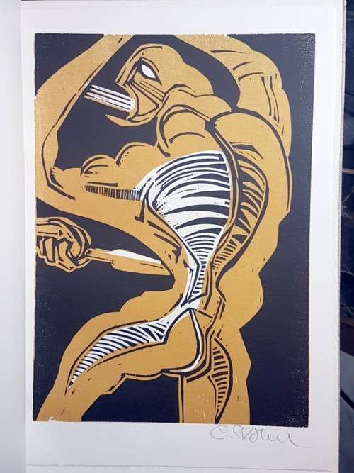 Cecil Skotnes & Steven Gray - The assassination of Shaka - Investment at its best!! *Free courier!