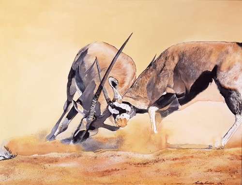 Linda Grobler - Dueling Gemsbokke - Magnificent investment art!! - Bid now!