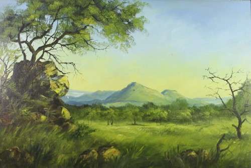 V Brits - Landscape - A lovely painting! - Low price! - Bid now!!