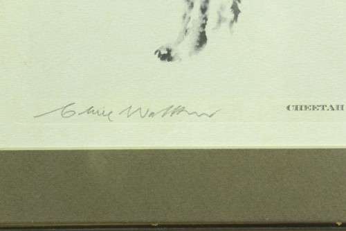 Clive Walker - Cheetah - Beautiful! - Low price, bid now!!