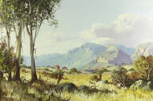 Michael Albertyn - Landscape with Aloe's - Stunning! 90cm x 60cm. Act fast and bid now!
